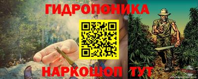соль ск Будённовск
