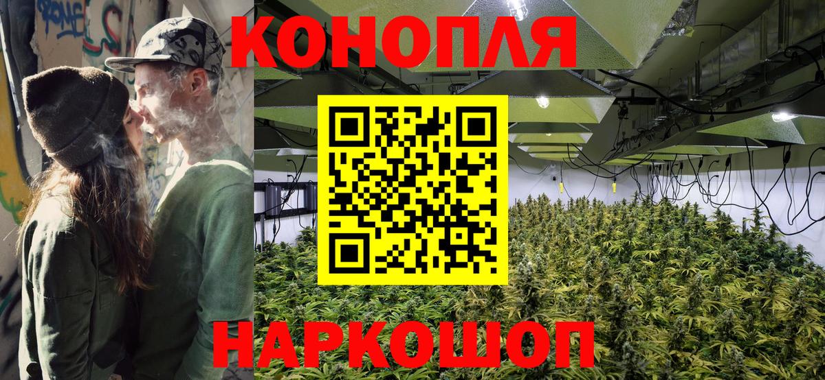 Ртищево  Шишки марихуана тримм  Вход с VPN  Марихуана семена  Шишки марихуана THC 21% 